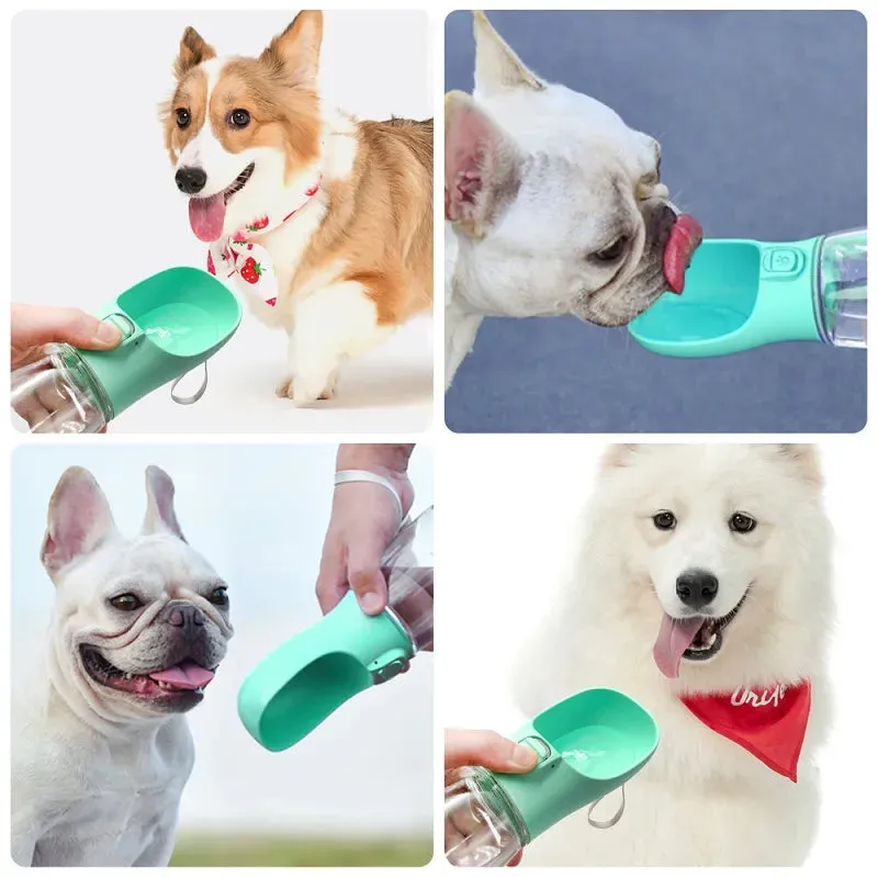 Adventure Pup Water Container
