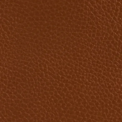 Harry 14 in Acorn